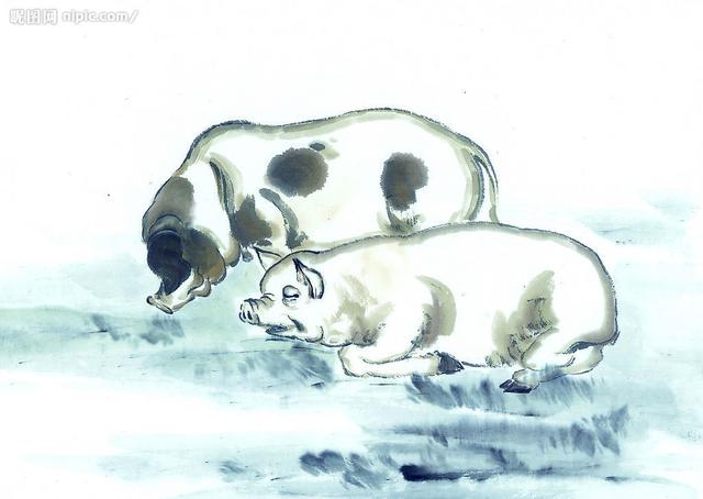 属猪人逢年运势怎么样,属猪人逢猪年运气怎么样