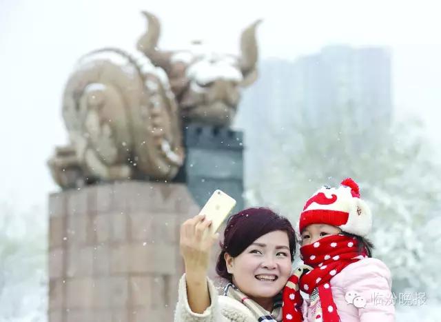 头条|我叫临汾，这是我的最新简历，请多关照！