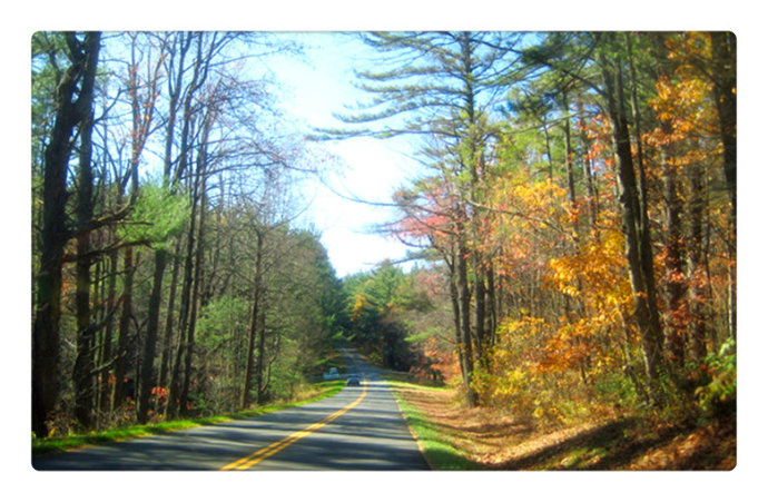 静谧书屋,静谧书舍