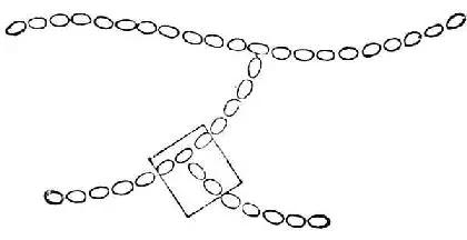 淀粉有什么隐藏用法,淀粉的小常识有什么