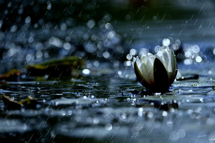 释迦牟尼佛的三十六道轮回,今天是释迦牟尼佛涅盘日吗