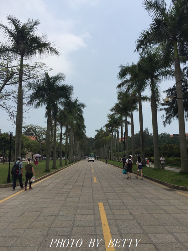 厦门鼓浪屿旅游攻略,厦门开车自驾游攻略