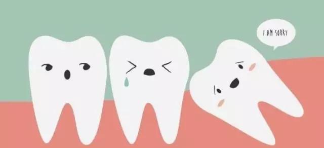 长智齿提高智商吗,智齿多的人智商高吗