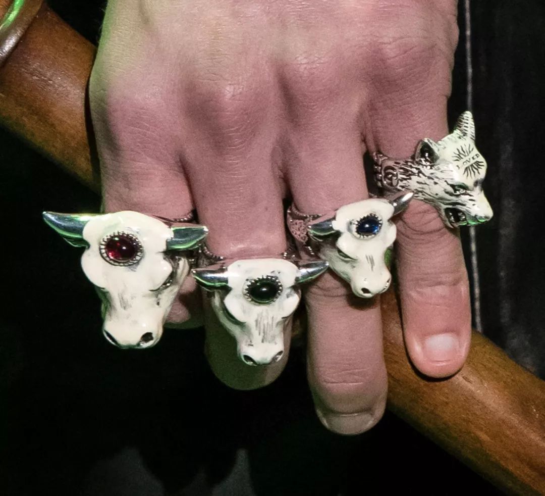 12生肖驾到视频,十二生肖迎接高光时刻