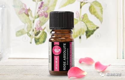 各种精油功效,有什么护肤精油好用