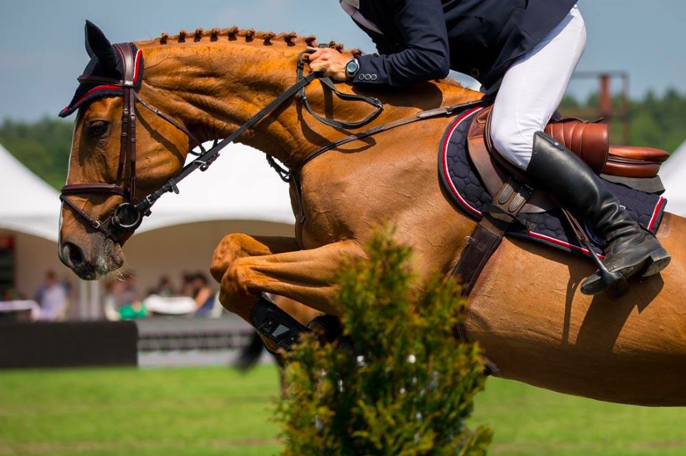 成都好莱坞来了！川传即将享誉全国