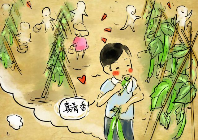 新农村日记｜QQ农场主孙健：这儿有令人向往的田园生活