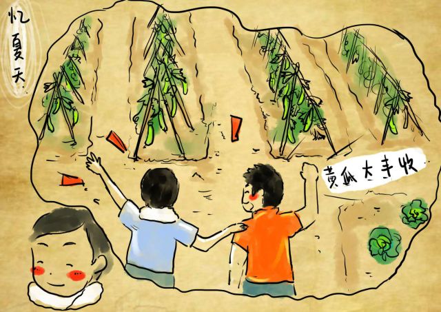 新农村日记｜QQ农场主孙健：这儿有令人向往的田园生活