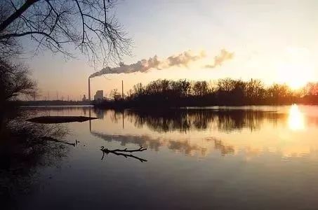 数学由哪两大分支组成,数学中最难的分支排名