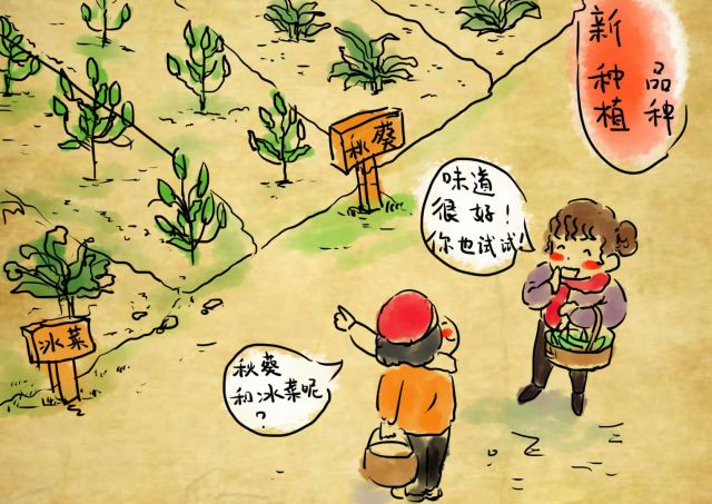 新农村日记｜QQ农场主孙健：这儿有令人向往的田园生活