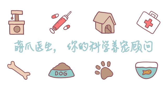 猫咪为什么吃不出甜味,猫咪尝不出苦还是甜