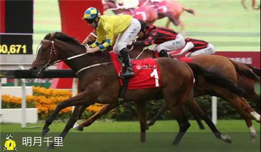 香港三冠赛首关1000万奖金来袭，参赛马匹名单公布
