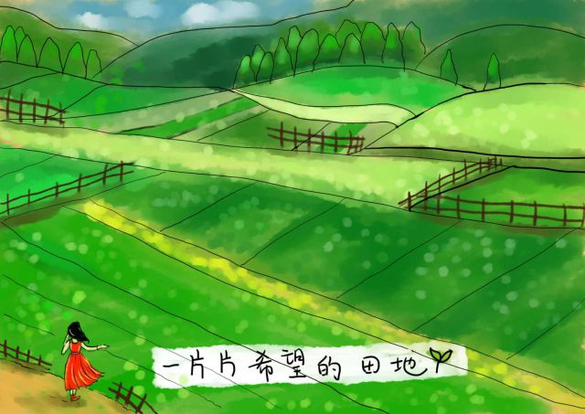 新农村日记｜QQ农场主孙健：这儿有令人向往的田园生活