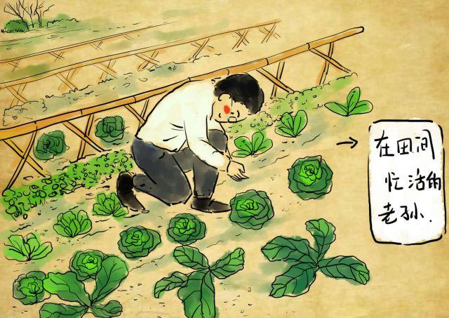 新农村日记｜QQ农场主孙健：这儿有令人向往的田园生活