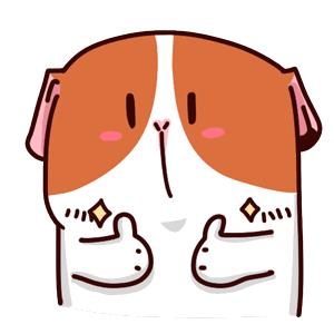 家里出现这些东西千万要注意了,家里这4件东西不能重复使用