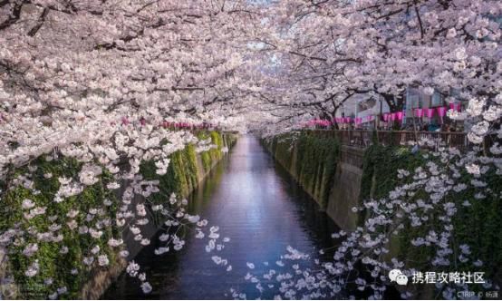 去日本旅游规划路线,想去日本玩旅游攻略视频