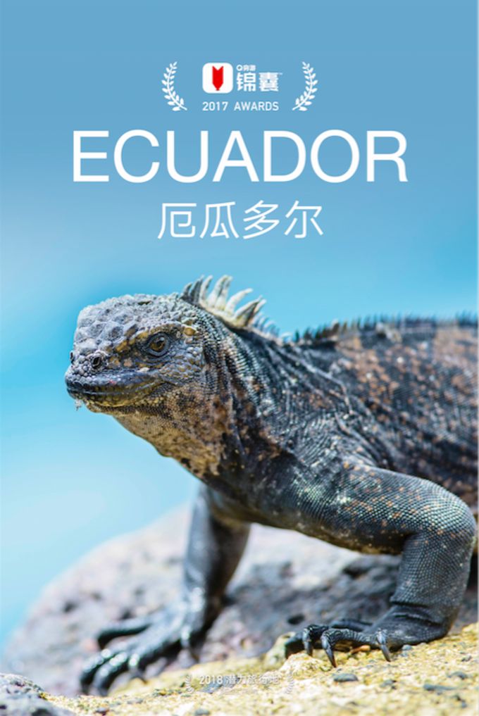 穷游锦囊怎么样,穷游攻略100例