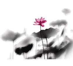 宝山重点大学名单,宝山重点学校