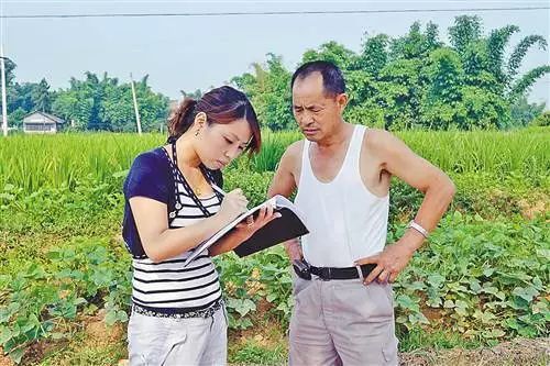 「小渝姐说故事」小村官的大梦想，创业致富“在村头”