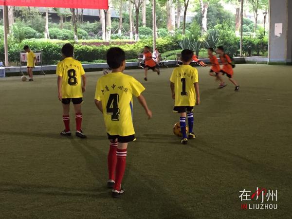 2024柳州小学生足球比赛,柳州小学区长杯足球比赛