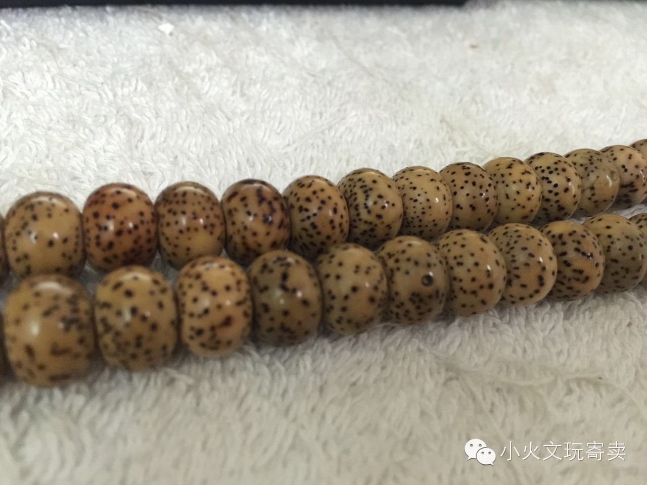 你真的了解星月菩提吗,实话实说文玩怎么样