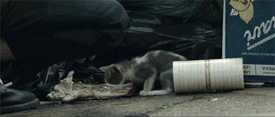 尺度大到犯规，却是一部良心好片