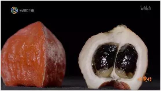 这部汁液四溅的作品勾起了所有人的欲望