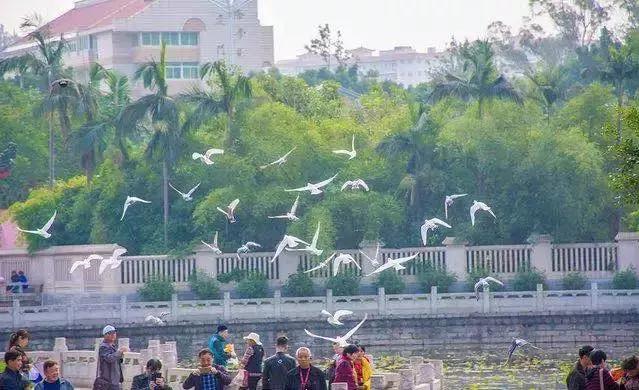 走心厦门自由行攻略超详细,厦门自由行攻略最详细