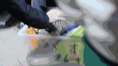 当你的宠物老了病了还能玩耍吗,宠物老了怎么办