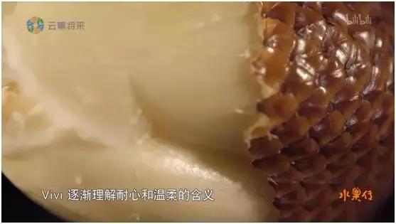 这部汁液四溅的作品勾起了所有人的欲望