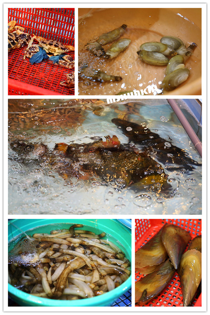 周末越南团进入东兴旅游,节假日去越南旅游怎么样