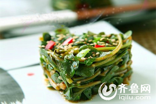 马齿菜的吃法大全家常,马齿菜的吃法大全集