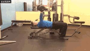 上斜哑铃卧推肌肉变化动态图,哑铃卧推的正确方法和姿势