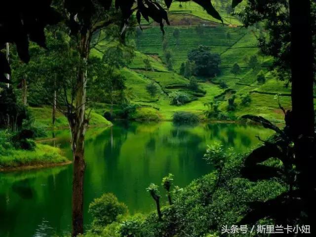 呕心沥血整顿干货,呕心沥血积累出的80条临证心得