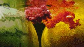 这部汁液四溅的作品勾起了所有人的欲望