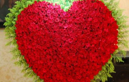 情人节玫瑰价格寓意,情人节送白色和橙色玫瑰花的寓意