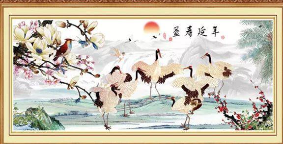 给长辈病人送花送什么花,给长辈送花适合送什么花