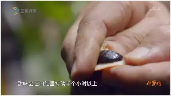 这部汁液四溅的作品勾起了所有人的欲望