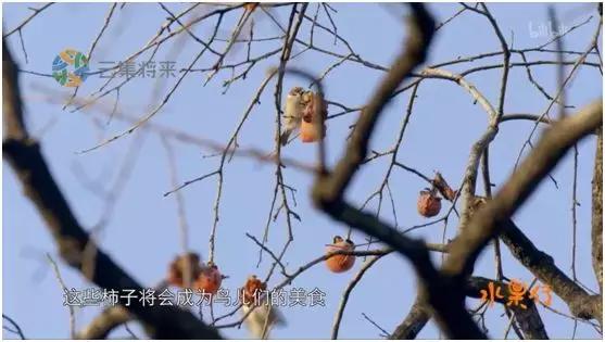 这部汁液四溅的作品勾起了所有人的欲望