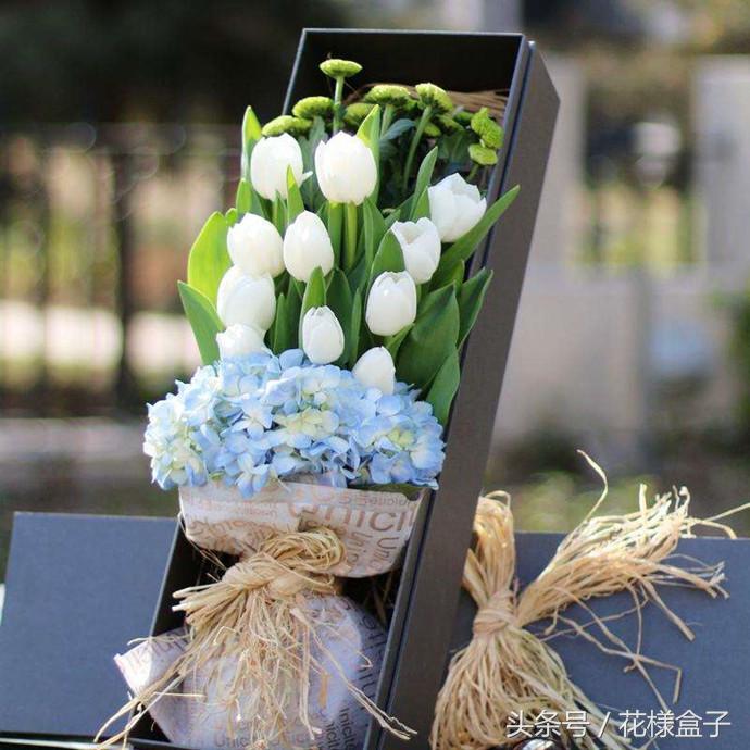 荷兰国花郁金香价格表,荷兰国花郁金香的故事