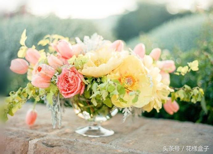 荷兰国花郁金香价格表,荷兰国花郁金香的故事