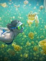 帕劳最新政策消息,帕劳现在怎么样了