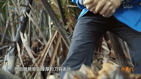 这部汁液四溅的作品勾起了所有人的欲望