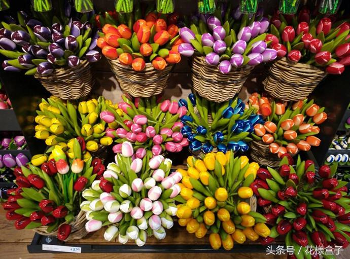 荷兰国花郁金香价格表,荷兰国花郁金香的故事