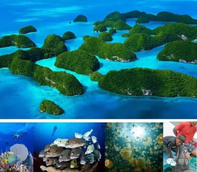 帕劳最新政策消息,帕劳现在怎么样了