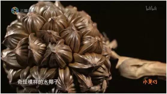 这部汁液四溅的作品勾起了所有人的欲望