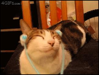 和kiko同价位的口红,kiko口红怎么越来越少了