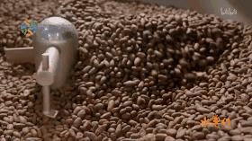 这部汁液四溅的作品勾起了所有人的欲望