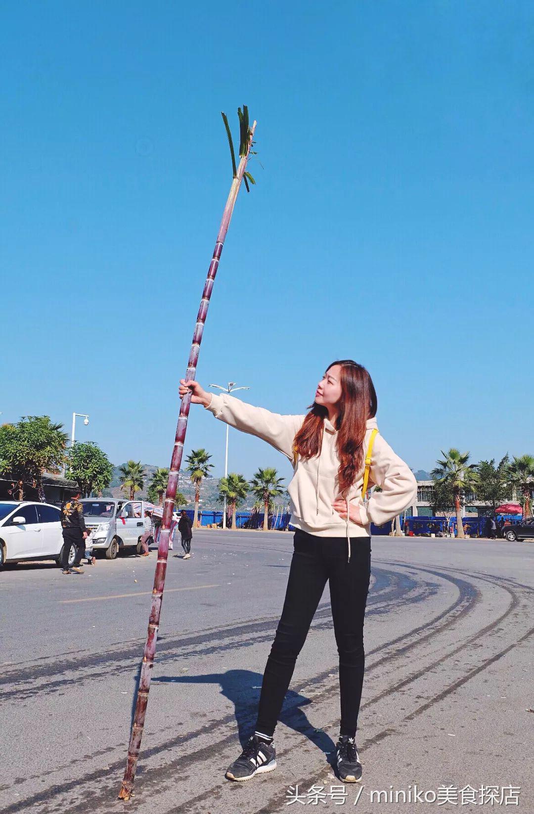 春节亲子两天一夜的旅游地方推荐,春节不挤的自驾路线