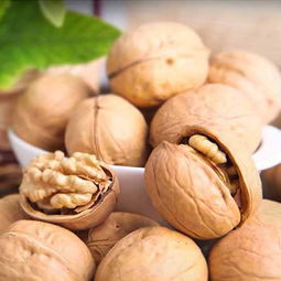 从新疆回去带点什么特产东西好呢,过年回家带的土特产